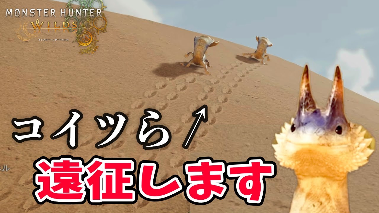 【ワイルズ環境生物】アシアトノコシの行動を追跡調査してみました【4K映像】