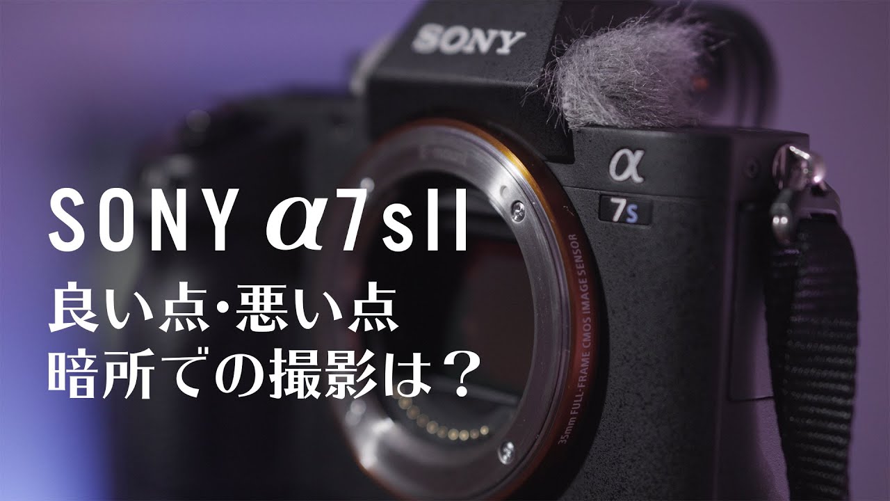 &alpha;7sIIを購入して1年。夜景や蛍動画はどんな感じに撮れたのか？
