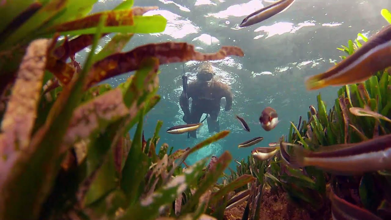 CHASSE SOUS-MARINE : Les secrets de la chasse à trou