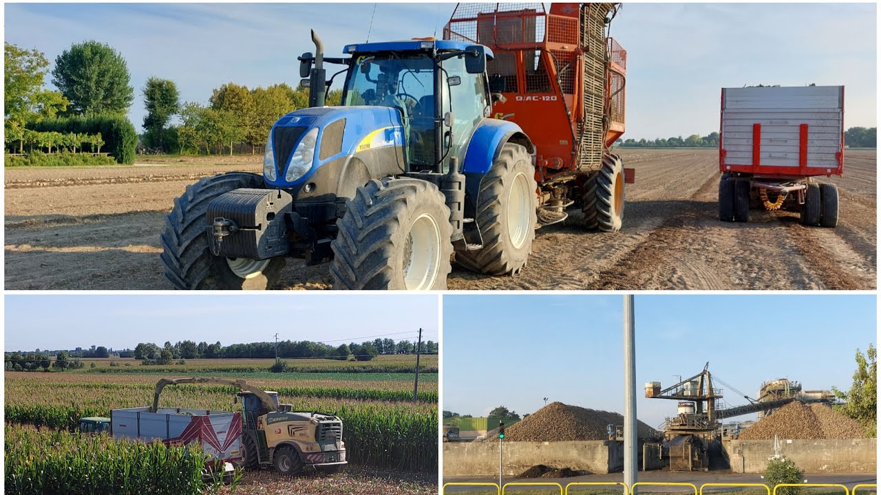 MIX LAVORI AGRICOLI ESTATE 2021