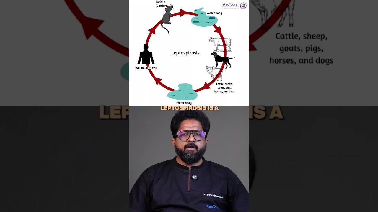 What is Leptospirosis?