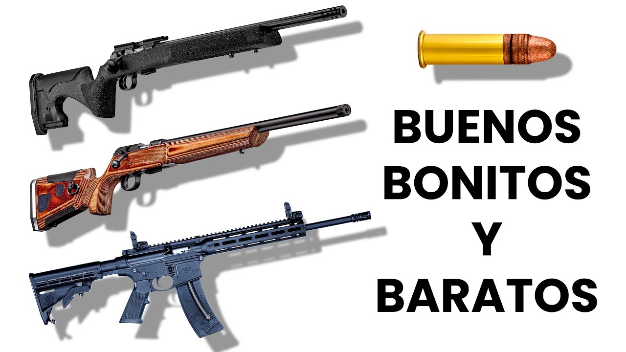 Los 10 Mejores Rifles Calibre 22