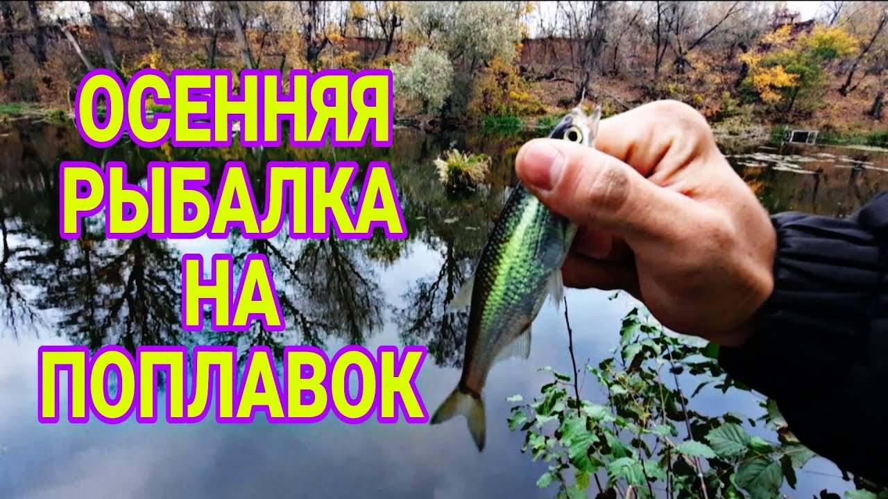ОСЕННЯЯ РЫБАЛКА НА ДЕДОВСКУЮ УДОЧКУ !!! ПОПЛАВОК В ЧЕРТЕ ГОРОДА !!! РЕКА ПСЁЛ !!!