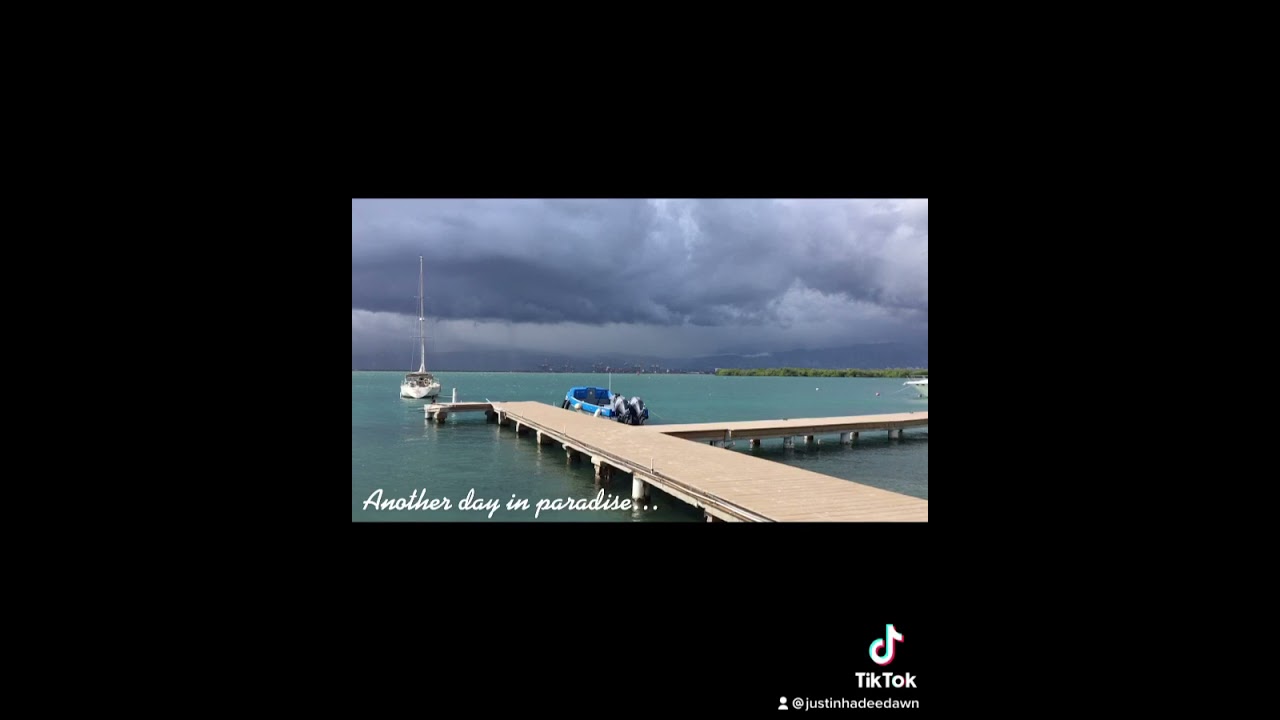 ANOTHER DAY IN PARADISE