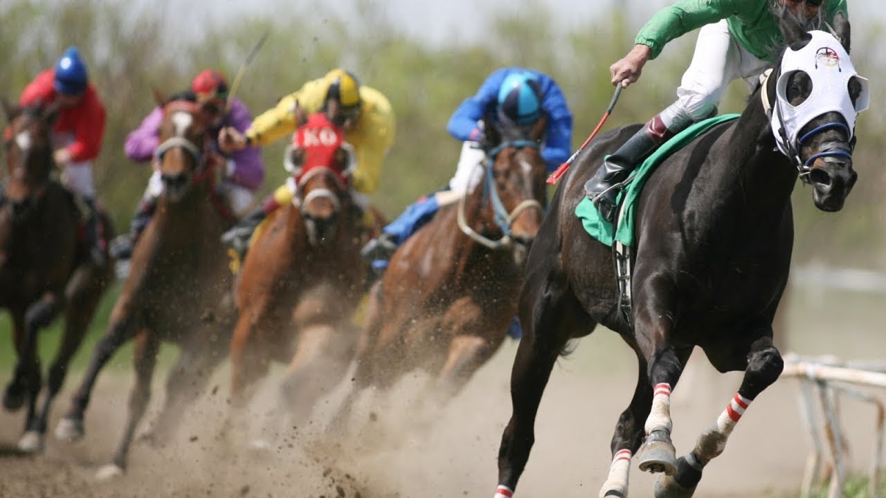 Pronostic R3C5 COMPIEGNE - Dimanche 13 Mars 2022 - Les Pronostics PMU Simplifi&eacute;s