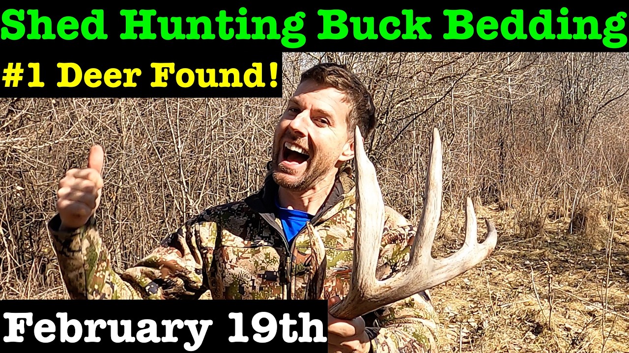 Shed Hunting & Overlooked Buck Bedding Hotspots!