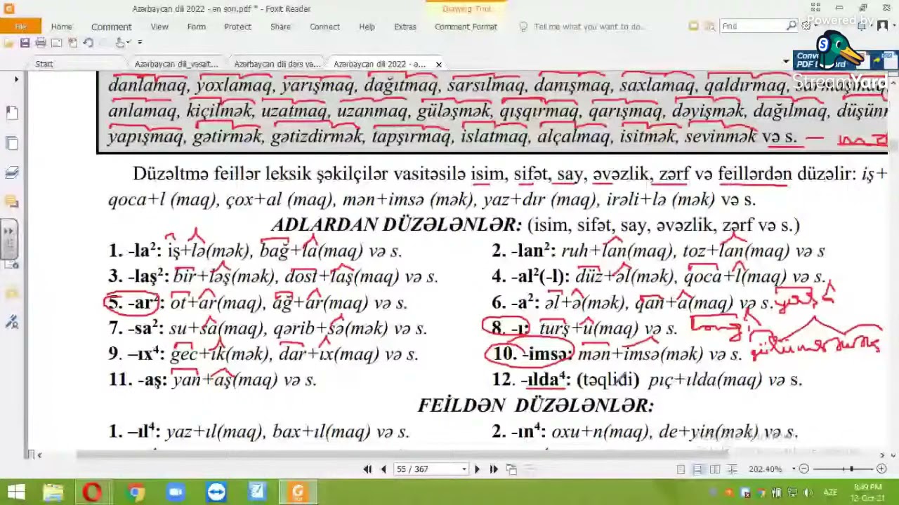 Feilin quruluşca növləri