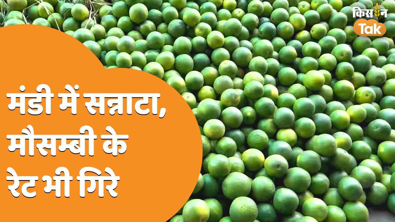वाराणसी की मंडियों में मौसम्बी का बुरा हाल, खरीदने नहीं पहुंच रहे ग्राहक | Varanasi Mandi| Kisan Tak