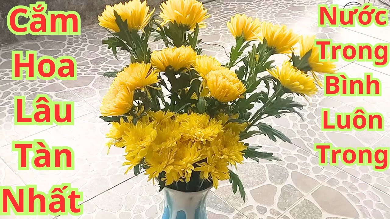 Cách Cắm Hoa Lâu Tàn Nhất.Cho Những Ngày Tết Hay Cho Ngày Lễ.Chỉ Cần Bỏ Túi 2 Mẹo Nhỏ Không Sợ Hoa H