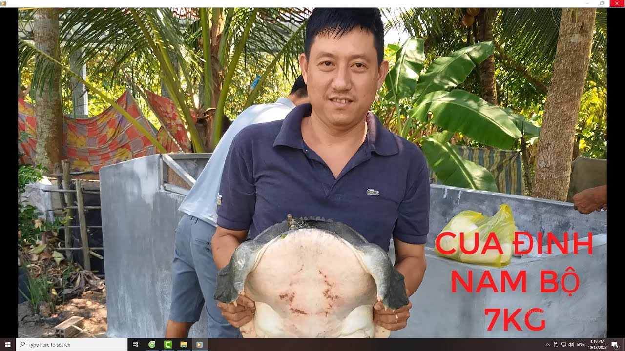 TẬP 1-CUA ĐINH GIỐNG VỊ THỦY HẬU GIANG.