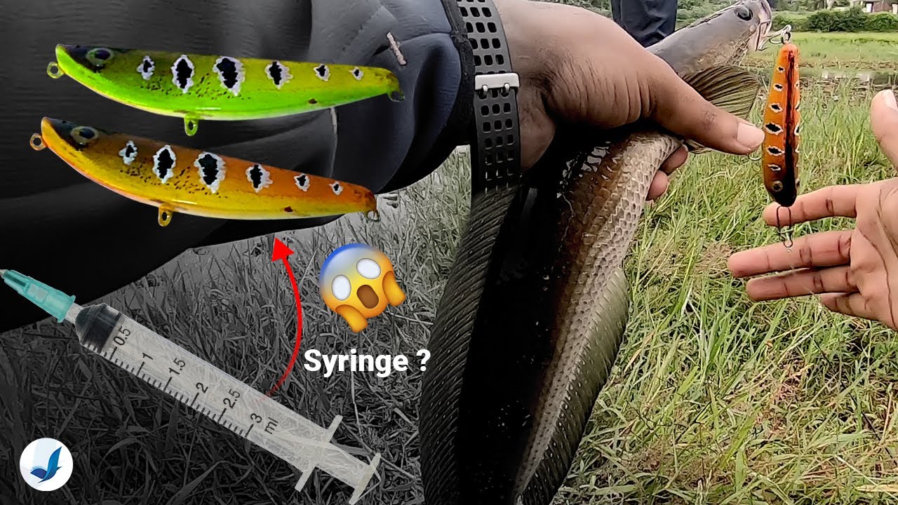 VDiary | ഒരു സിറിഞ്ജ് മതി Pencil lure making from Syringe #fish #kerala #top #best #tend #how #diy