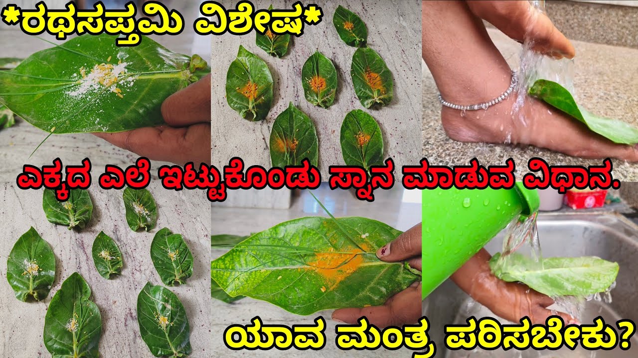 ರಥಸಪ್ತಮಿ ದಿನ ಎಕ್ಕದ ಎಲೆ ಇಟ್ಟುಕೊಂಡು ಸ್ನಾನ ಮಾಡುವ ವಿಧಾನ/ಸ್ನಾನ ಮಾಡುವಾಗ ಈ ಮಂತ್ರವನ್ನು ಪಠಿಸಿ!/ratha sapthami