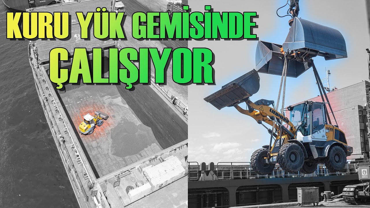 Kuru yük gemisinde çalışan lastikli yükleyici