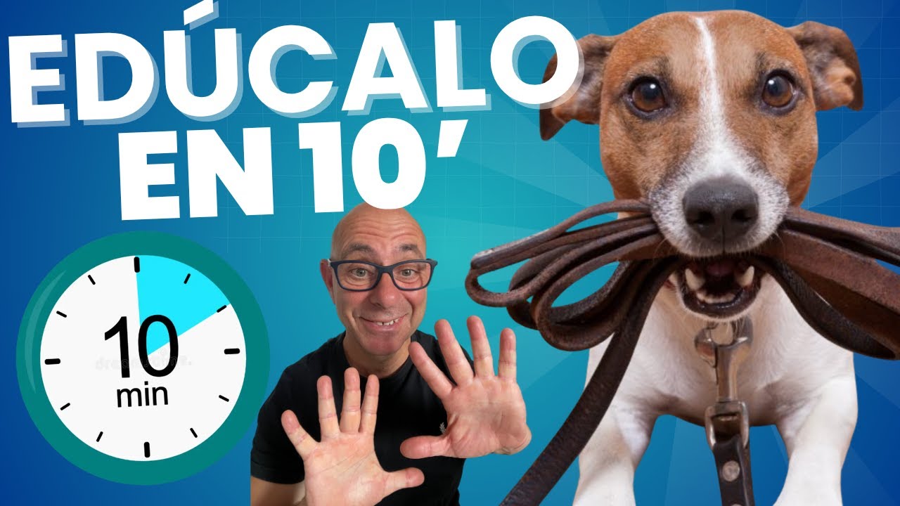 Cómo EDUCAR a tu PERRO en Solo 10' al DÍA (Guía Completa para Mujeres Ocupadas)