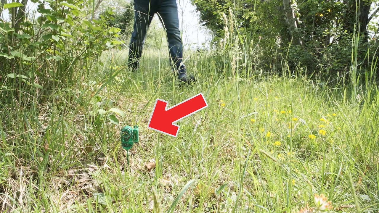 Come costruire un allarme perimetrale con pochi euro