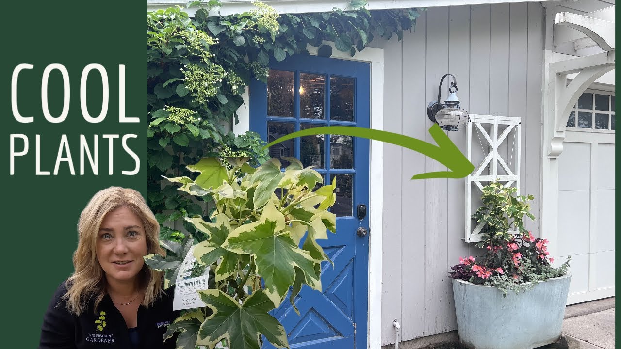 3 cool plants I am excited to grow