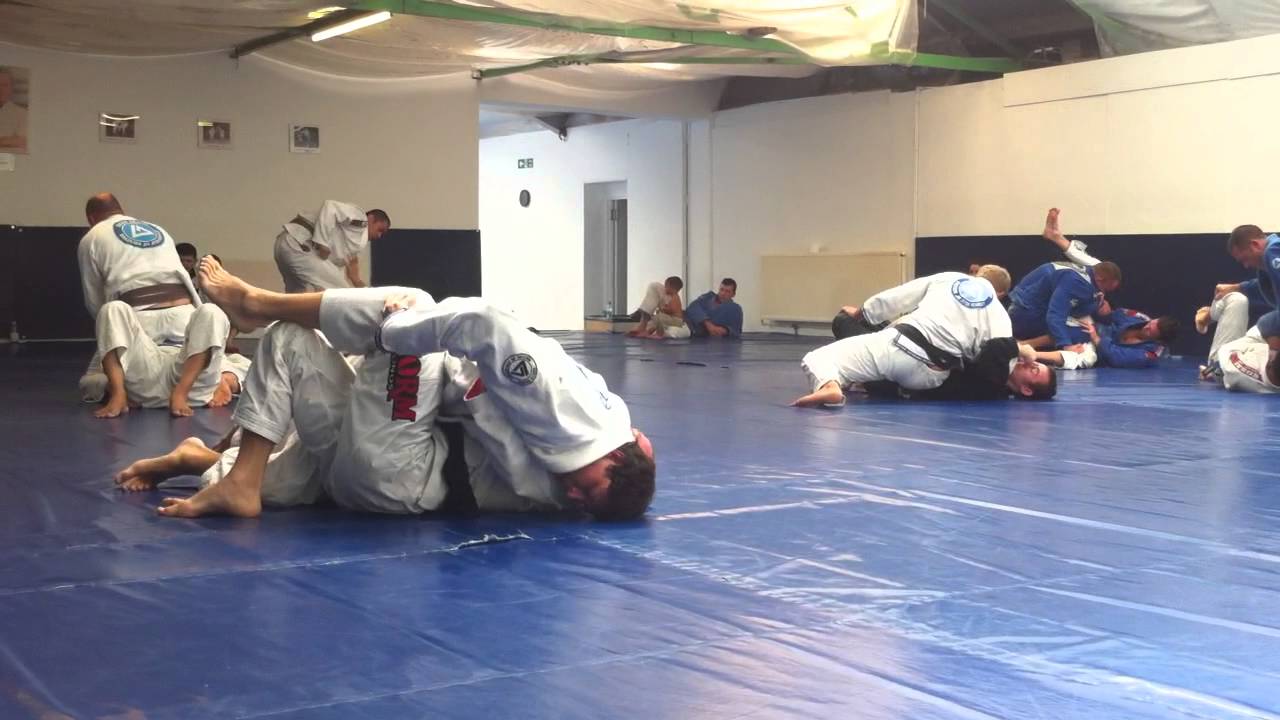 GSP VS Roger Gracie