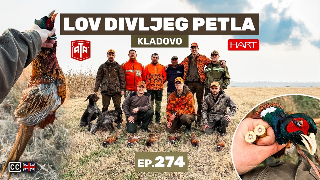 Lov Divljeg Petla Kladovo | Pheasant hunting in Kladovo E274