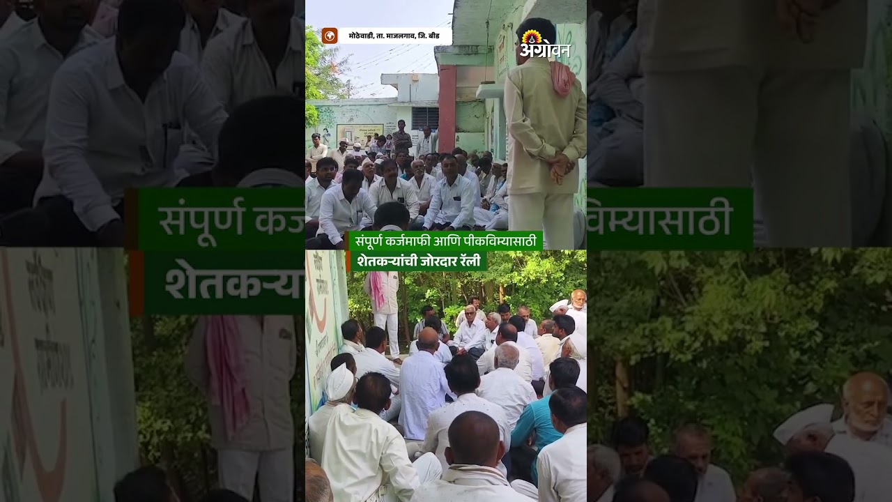 Karjmafi: पीकविमा आणि कर्जमाफीसाठी बीडमध्ये सरकारविरोधात आंदोलन | Agrowon