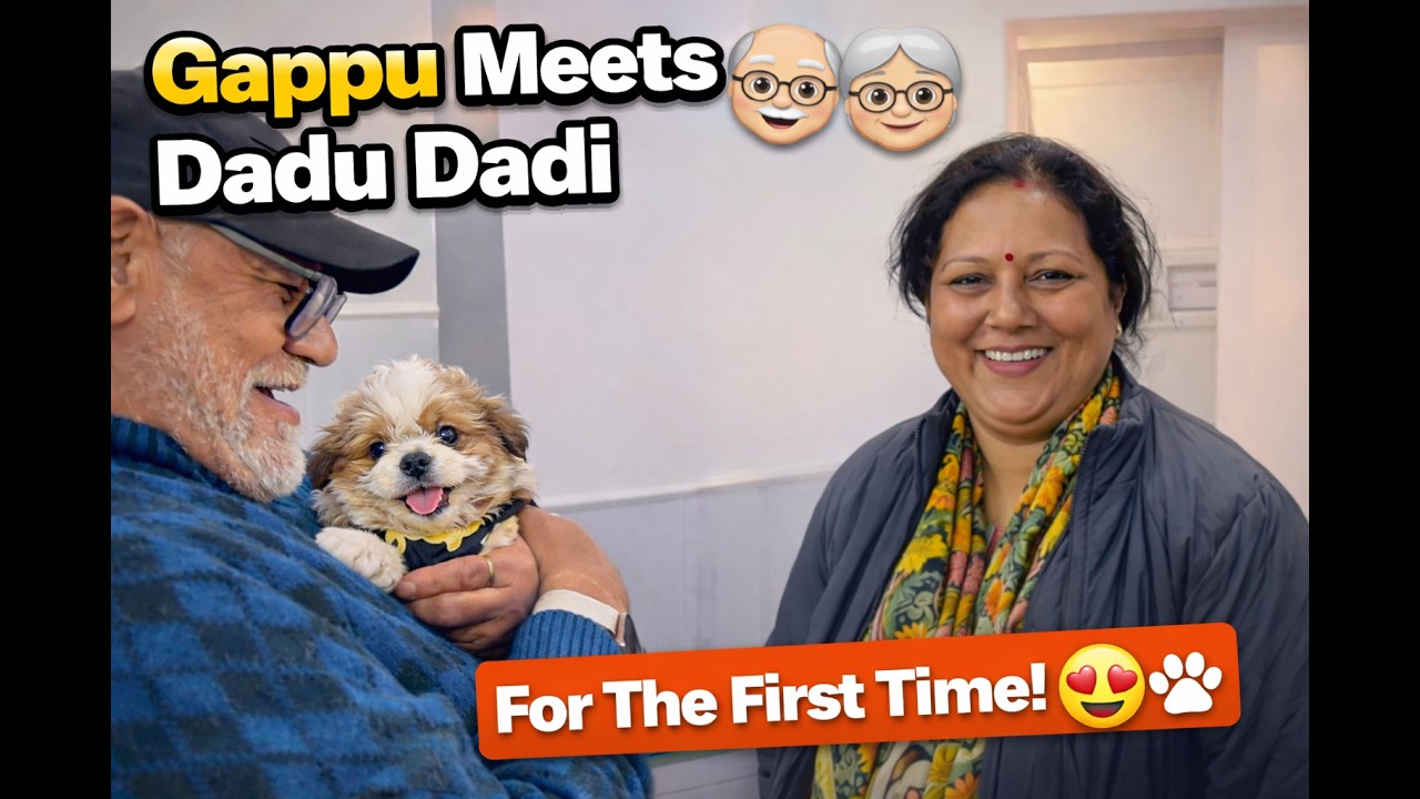 Gappu Meets Dadu Dadi For The First Time 🐶👴👵