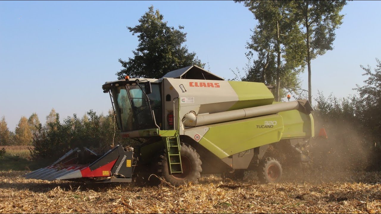 NOWA PRZYSTAWKA DO ZBIORU KUKURYDZY DOMINONI // Kukurydza na ziarno CLAAS TUCANO/JOHN DEERE/URSUS