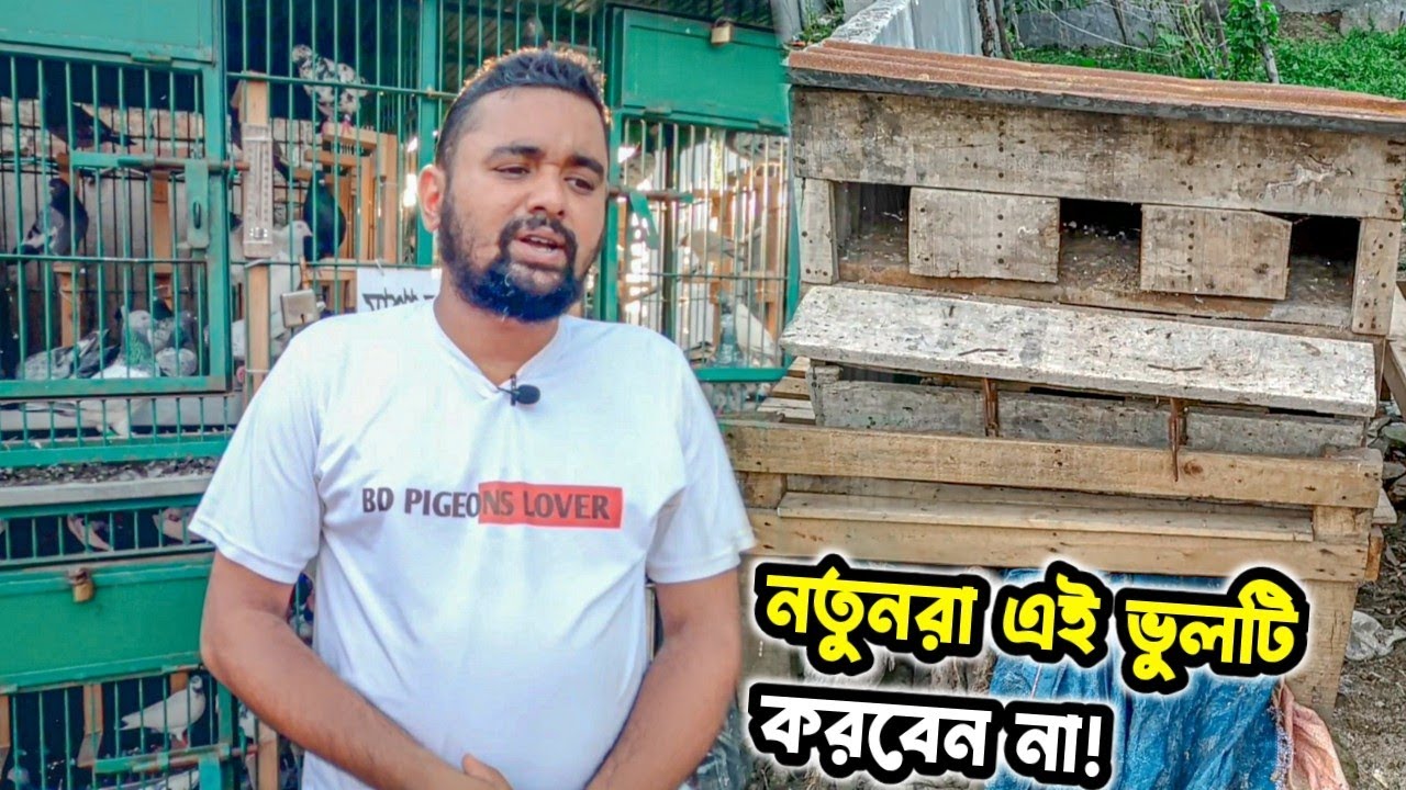 খাঁচায় কবুতর পালন করা আমার সবথেকে বড় ভুল সিদ্ধান্ত