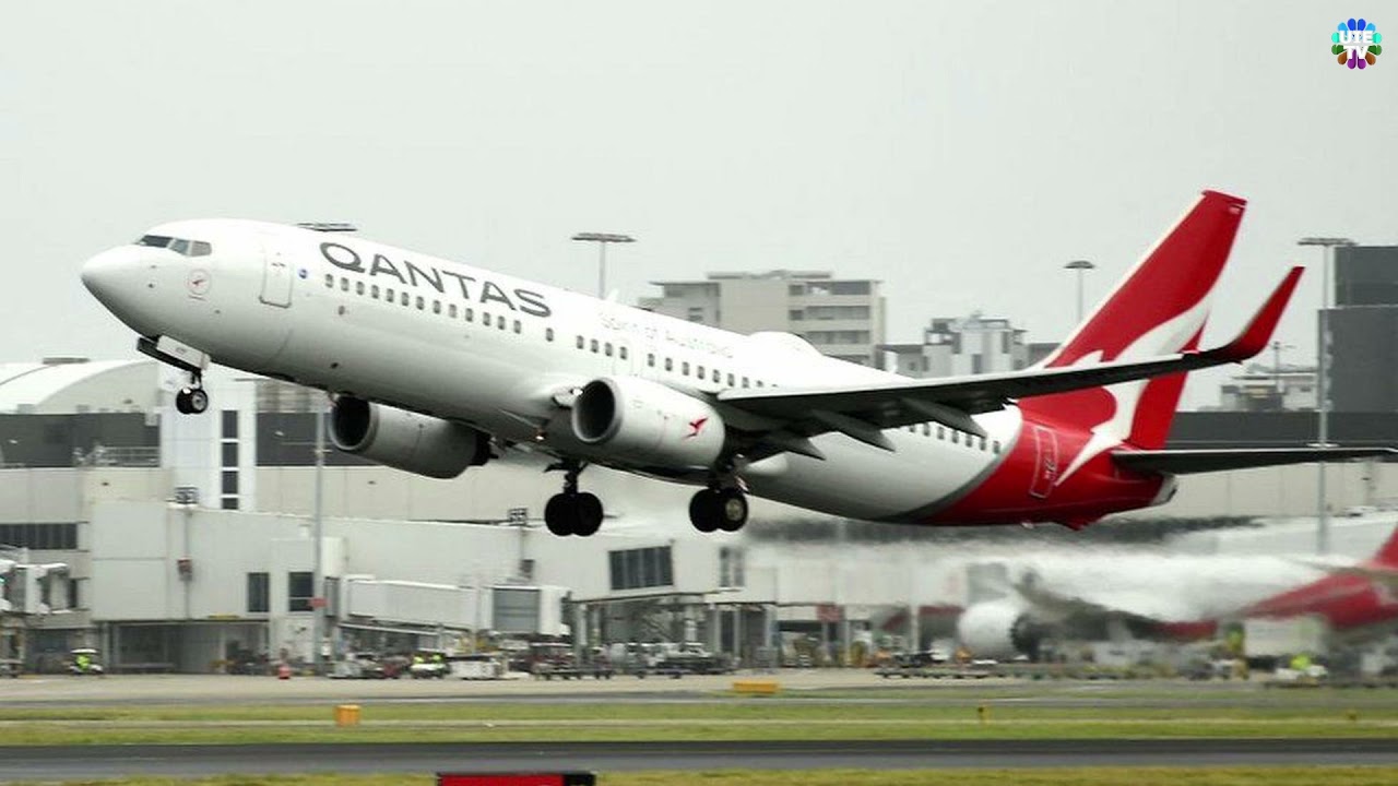 Qantas disturbed by claims of gang infiltration.