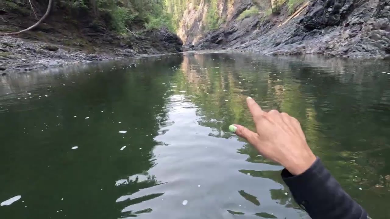 A SECRET GOLD MINE! Lost in the INTERIOR of British Columbia!