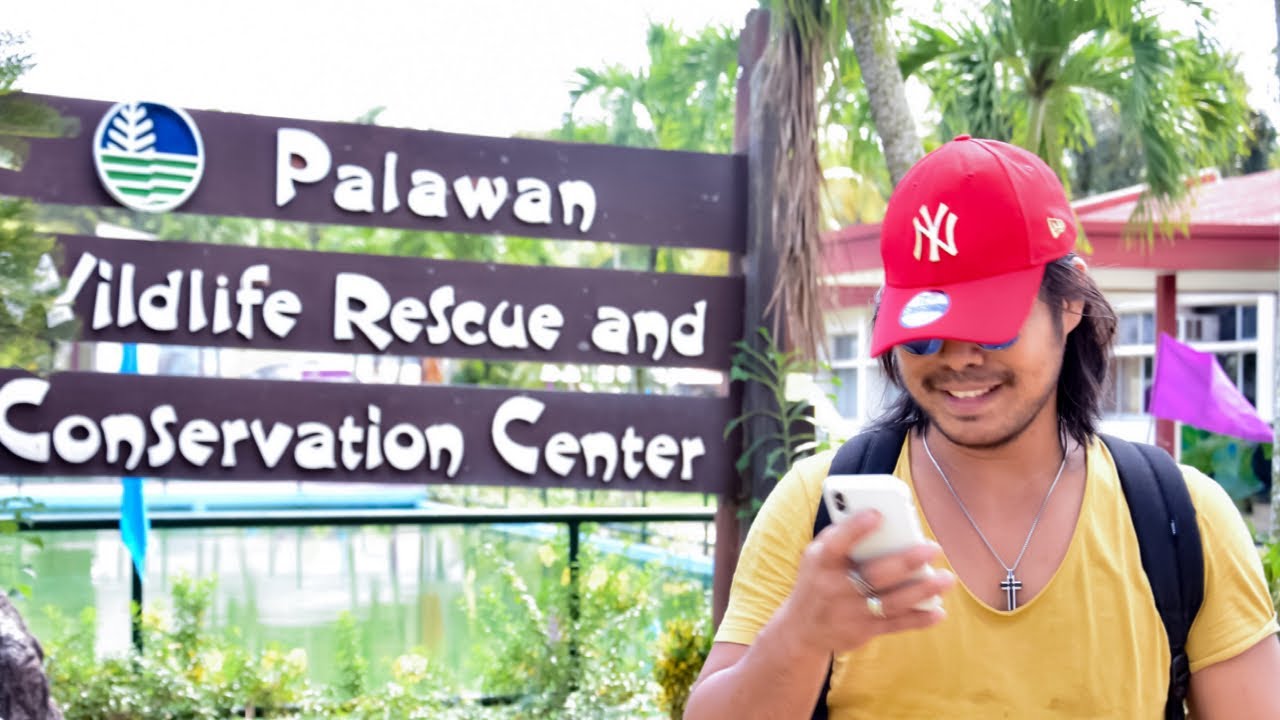 PALAWAN WILDLIFE RESCUE AND CONSERVATION CENTER | PUERTO PRINCESA