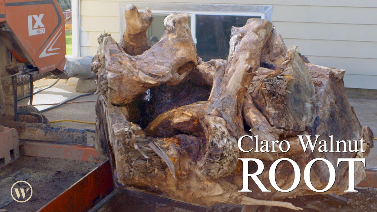 Marbled and Figured Slabs from Claro Walnut Roots