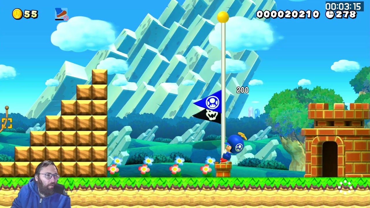 Mario Maker 2 Viewer Levels