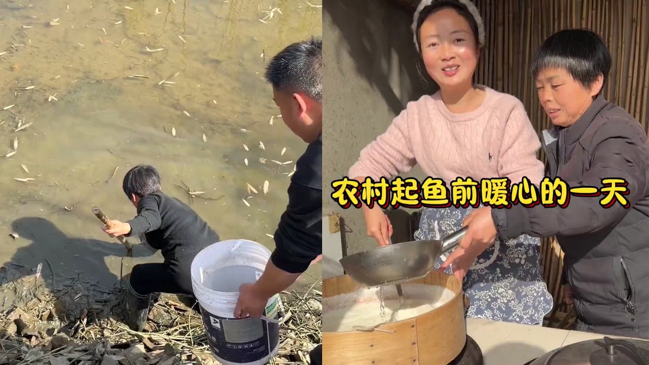 明天我们家鱼塘要起鱼了，今天做一些准备，为明天起鱼忙活，也为当下的团圆欢喜【静儿家】