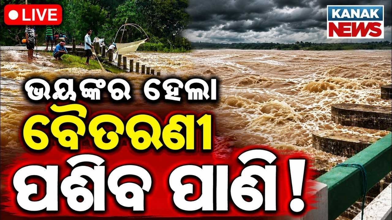 🔴Live ଭୟଙ୍କର ହେଲା ବୈତରଣୀ! Flood Alert In Baitarani River | Baitarani Water level crosses danger mark