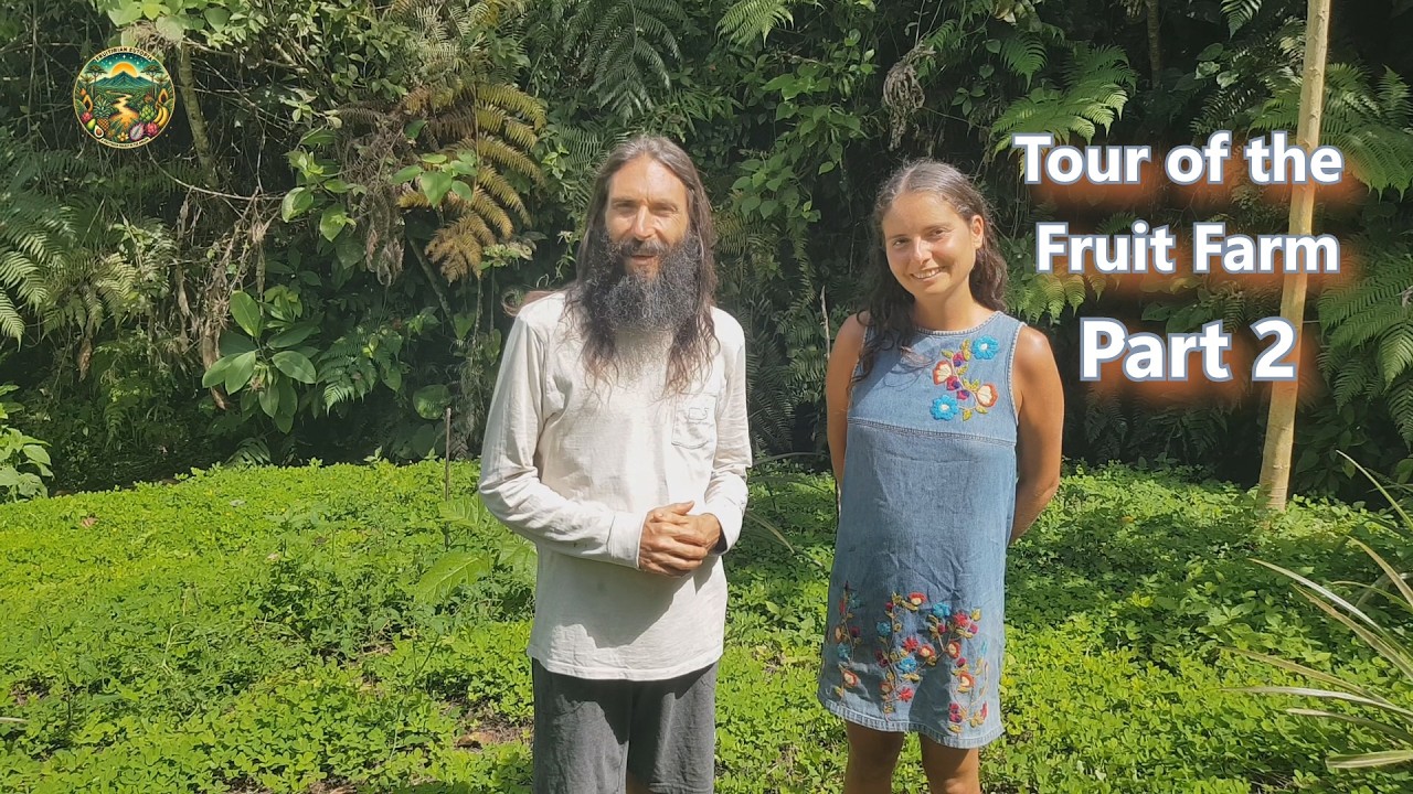 #024 -Tour of the fruit farm with Adrienn (2026) - Part 2
