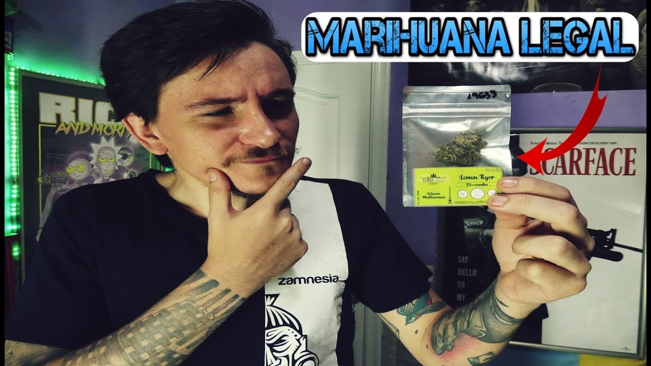 COMPRO MARIHUANA LEGAL CBD Y LA PRUEBO | &iquest;ESTAR&Aacute; BUENA? 🤔