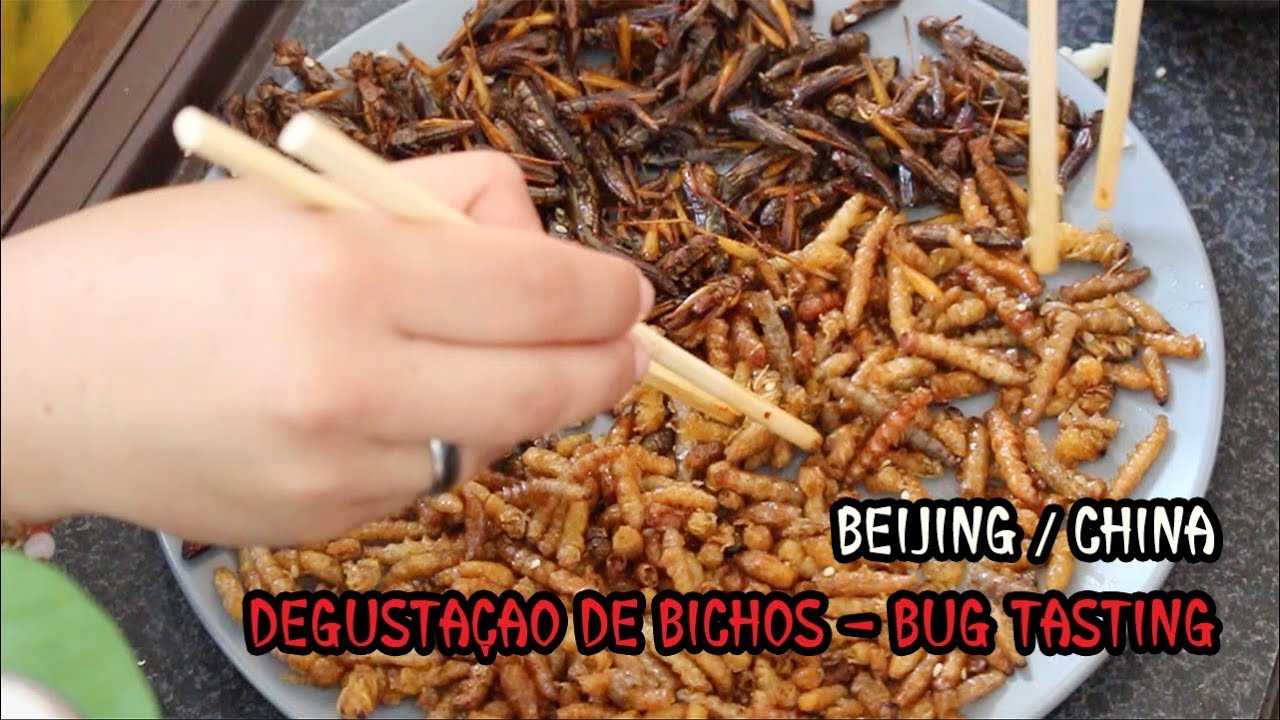 Degusta&ccedil;&atilde;o de bichos - bug tasting :: Beijing :: China