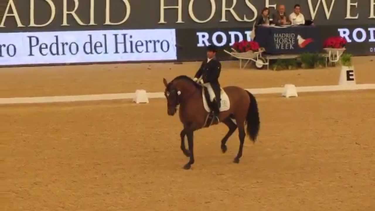 Altaneiro & Sergio Martin Palos FEI Grand Prix CDI3* 69,800%