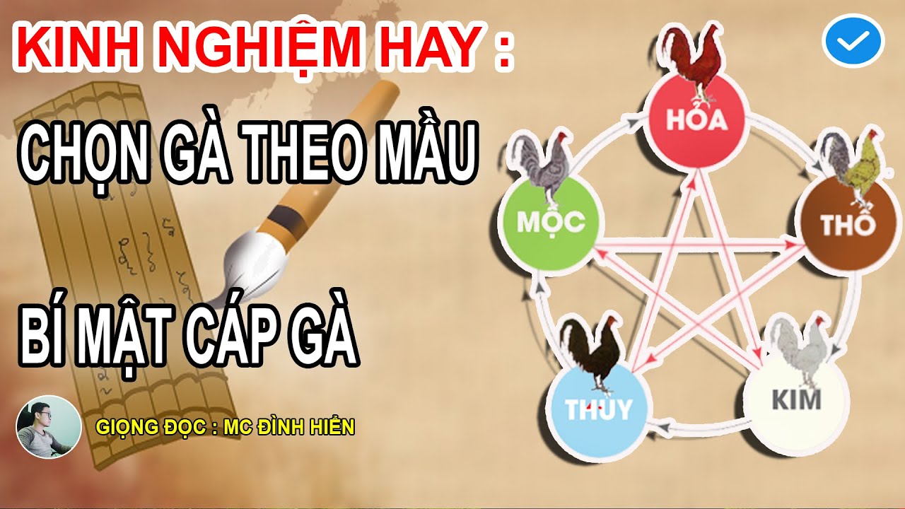 KINH NGHIỆM HAY : CHỌN GÀ THEO MẦU LÔNG - QUY TẮC KHI CÁP GÀ TẠI TRƯỜNG CẦN BIẾT || TG. ĐÌNH HIỂN.