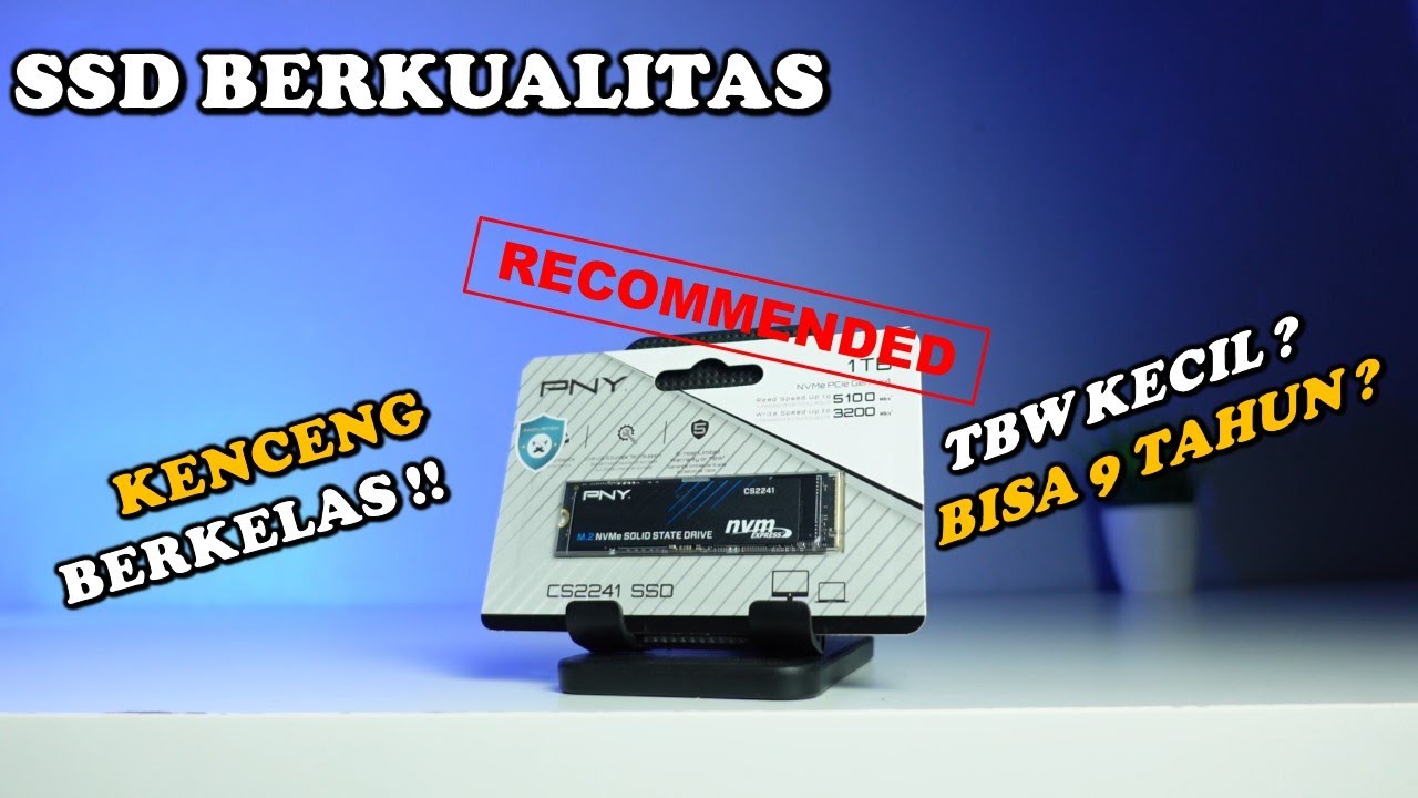 REKOMENDASI SSD YANG GAK PERNAH MENGECEWAKAN !! | PNY CS2241 1TB