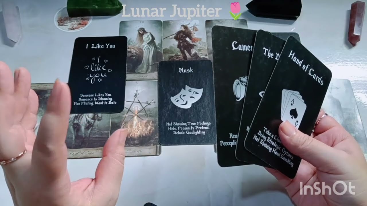 Channeled Messages from Your Person 💌🕊️ Collective Reading 🔮🦄🌿💜🍀🩵✨