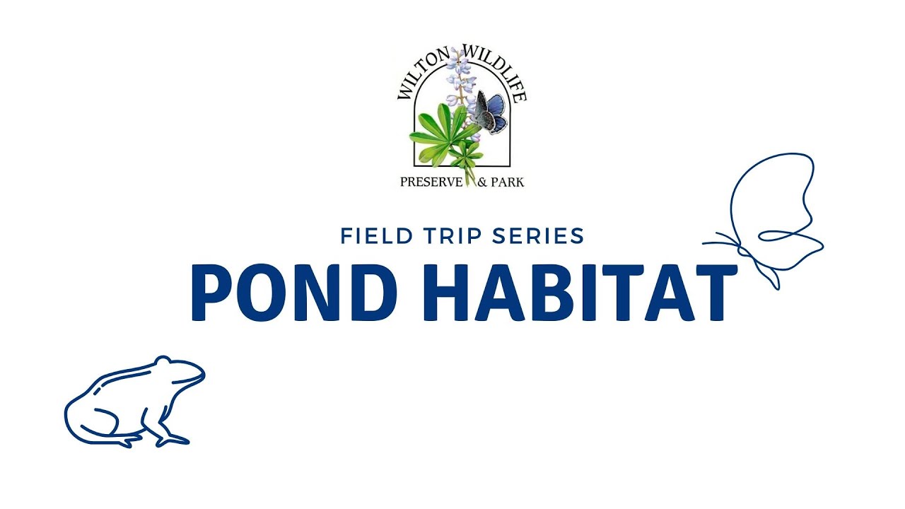 Virtual Field Trip: Pond Habitat
