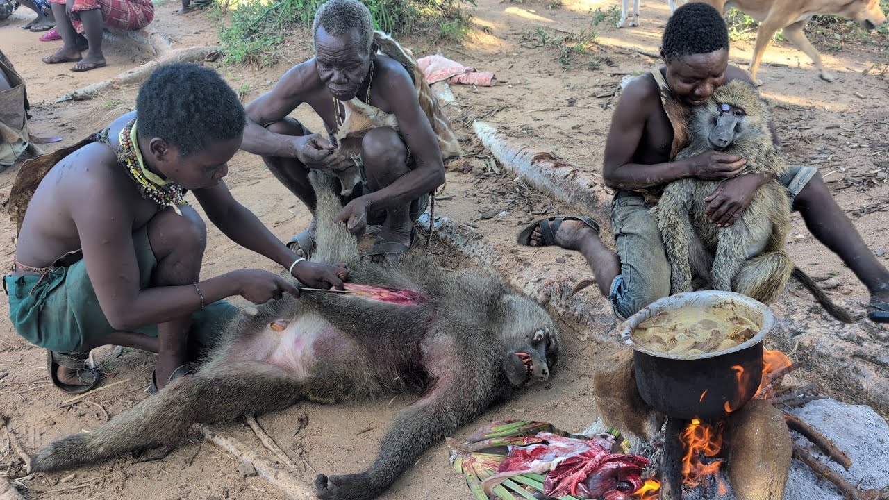Discover Hadza tribe Hunting Baboon and Cooking Lunch😋 Amazing food