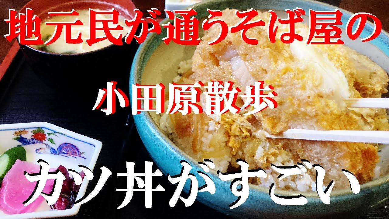 NEW 小田原ぶらり旅医者帰りに午前中から瓶でぼっち乾杯【吉野家】【翁庵】