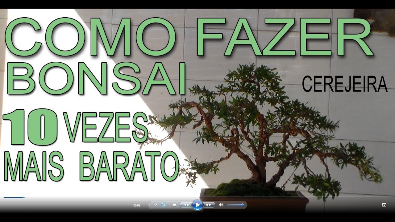 Bonsai Avaré - Cerejeira (Parte 2)