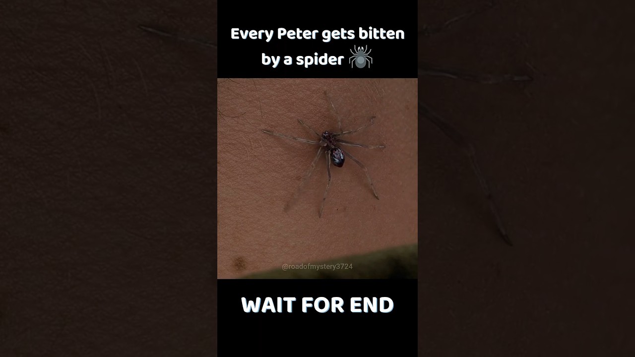Every Peter Parker Gets Bitten By Spider #shorts #marvel #spiderman #trending #viralvideo