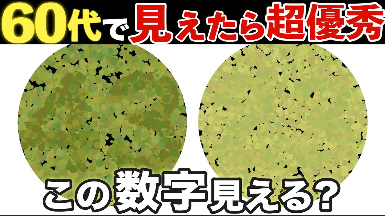 【色彩トレーニング】この数字が見える？色覚テストで色認識力を鍛える【視覚トレーニング】