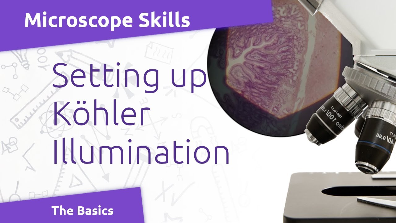 Microscope Basics: Kohler Illumination
