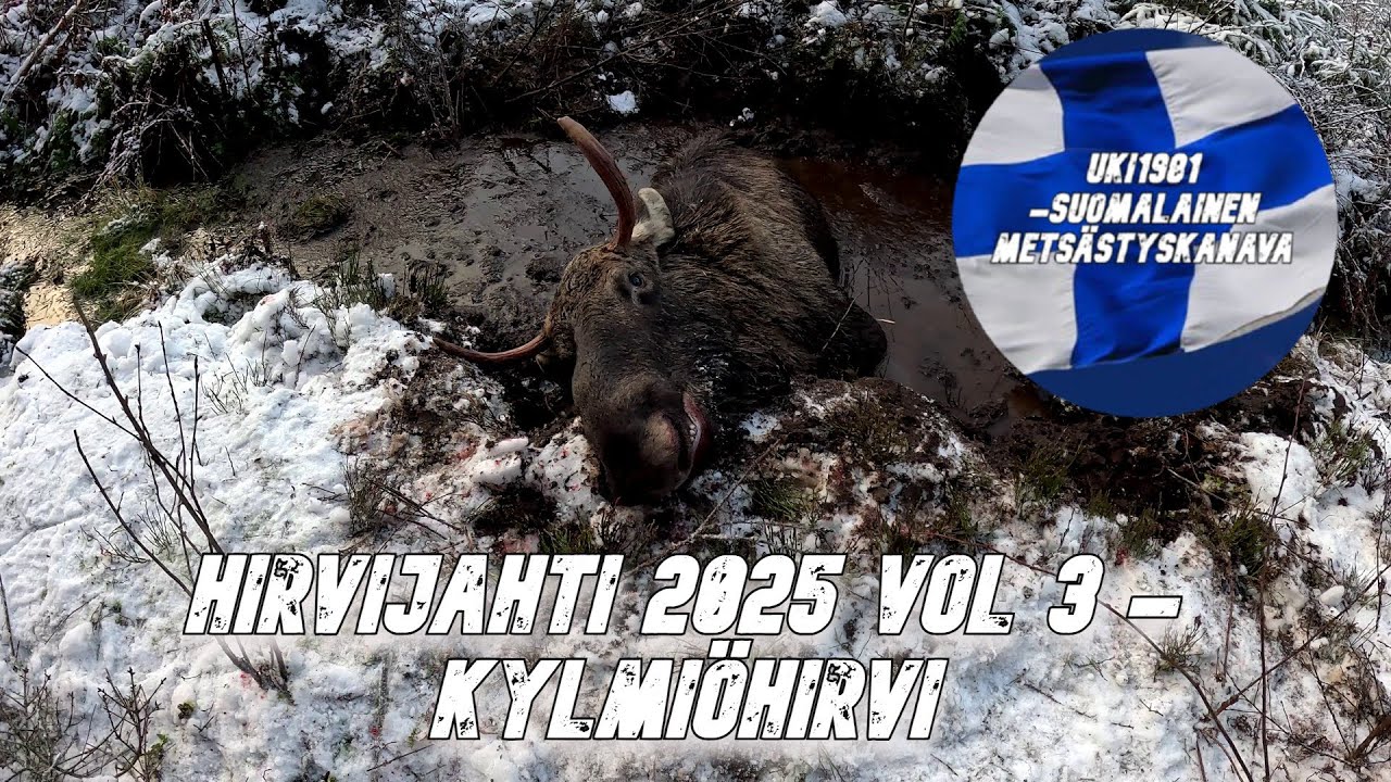 Hirvijahti 2025 vol.3  4K