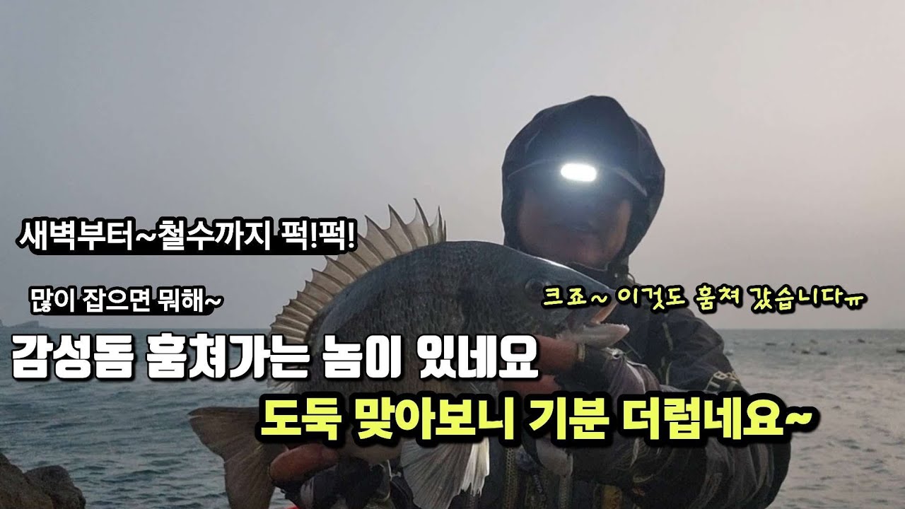 터지고   빠지고 많이 잡았는데 ~근데 도둑 맞았네요~당신도 당할수 있습니다.