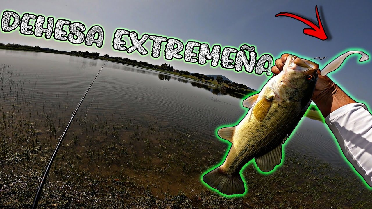 PESCA de ORILLA en un SITIO PRIVILEGIADO